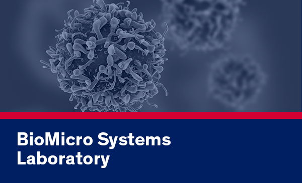 micro systems lab logo