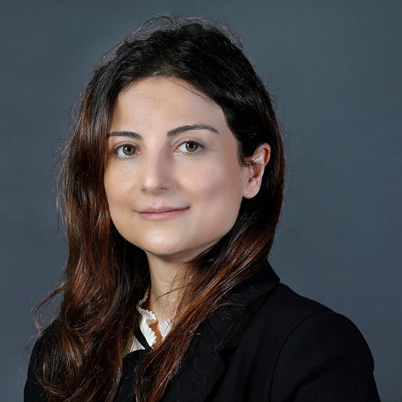 MIE Assistant Professor Azadeh Haghighi