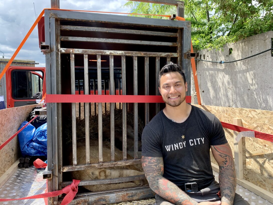 Michael Jacobson, a PhD candidate in mechanical and industrial engineering at UIC, took a break from school to help save animals and provide humanitarian aid in war-torn Ukraine
