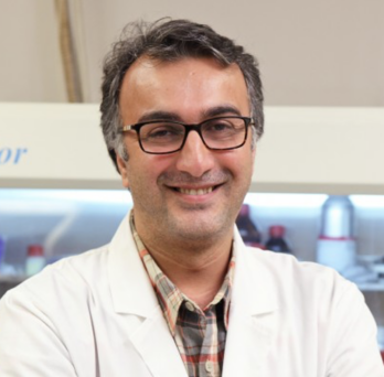 Amin Salehi-Khojin, professor of mechanical and industrial engineering at UIC 
