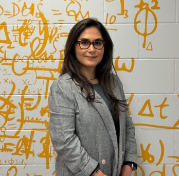 Assistant Professor Hadis Anahideh 